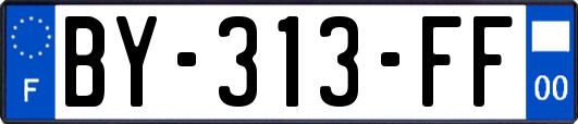 BY-313-FF