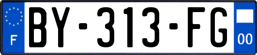 BY-313-FG