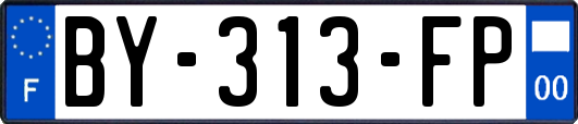 BY-313-FP