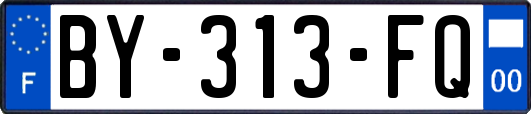 BY-313-FQ