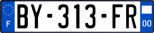 BY-313-FR