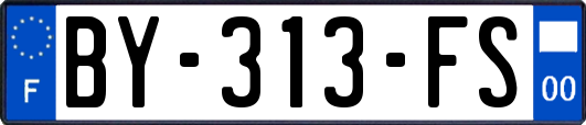 BY-313-FS