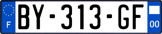 BY-313-GF