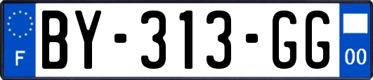 BY-313-GG