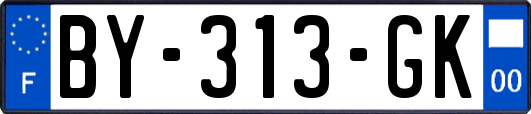 BY-313-GK
