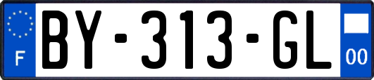 BY-313-GL