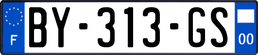BY-313-GS