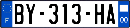 BY-313-HA