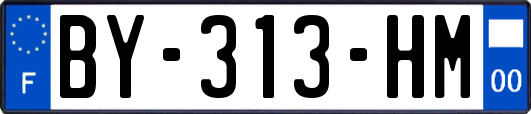 BY-313-HM
