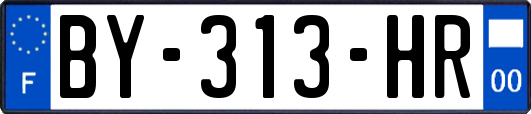 BY-313-HR