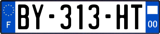 BY-313-HT