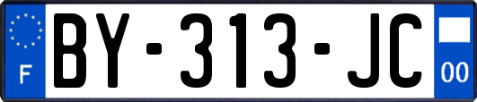 BY-313-JC