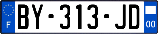 BY-313-JD