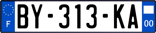 BY-313-KA
