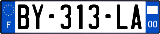 BY-313-LA