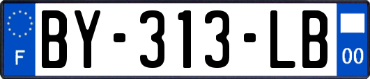 BY-313-LB