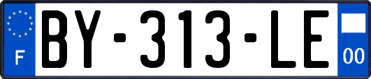 BY-313-LE