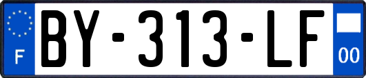 BY-313-LF