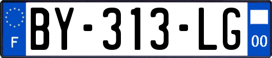 BY-313-LG