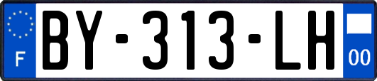 BY-313-LH