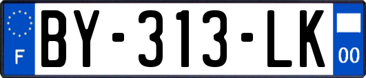 BY-313-LK