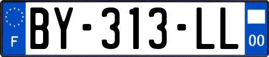 BY-313-LL