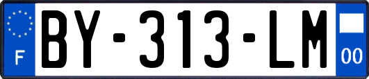 BY-313-LM
