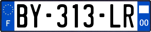 BY-313-LR