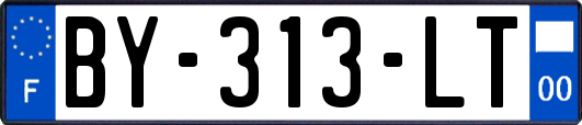 BY-313-LT