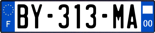 BY-313-MA