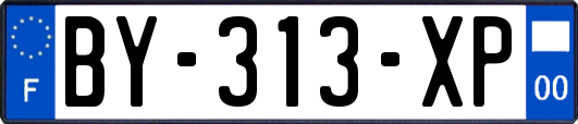 BY-313-XP