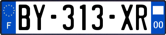 BY-313-XR