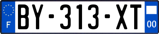BY-313-XT