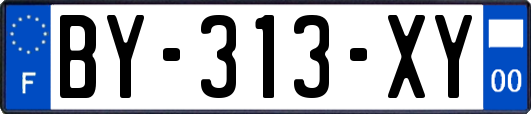 BY-313-XY