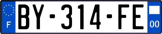 BY-314-FE