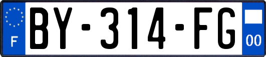 BY-314-FG