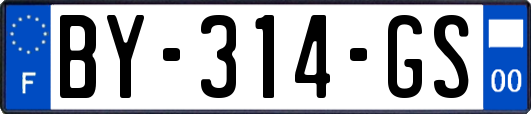 BY-314-GS