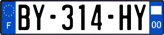 BY-314-HY