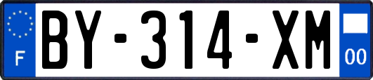 BY-314-XM