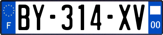 BY-314-XV