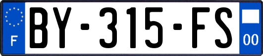 BY-315-FS