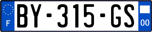 BY-315-GS