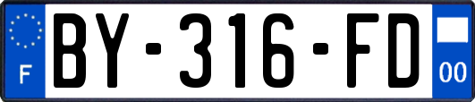 BY-316-FD