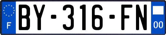 BY-316-FN
