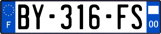 BY-316-FS