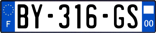 BY-316-GS