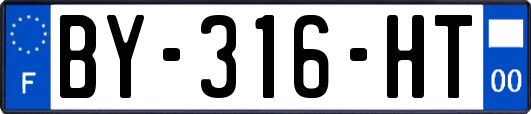 BY-316-HT