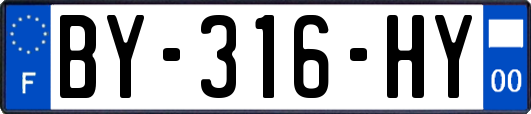 BY-316-HY