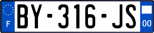 BY-316-JS