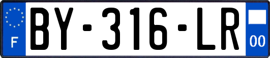 BY-316-LR